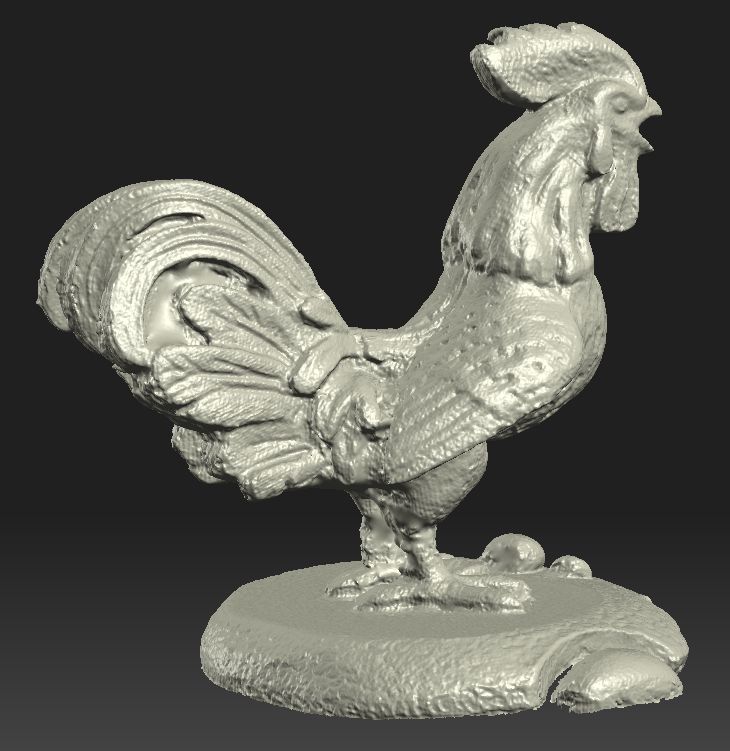 silver_cock_01.jpg