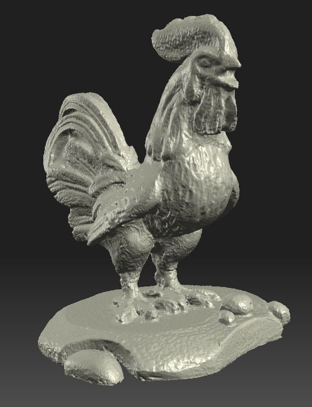 silver_cock_02.jpg