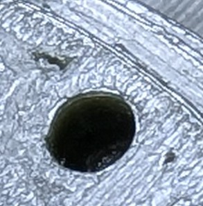 PXL_20250105_074513266.jpg