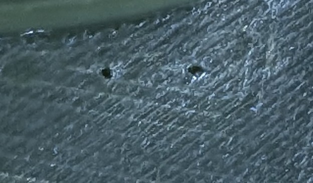PXL_20250105_074358966.jpg