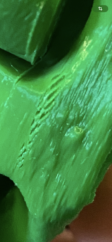 IMG_7297.png