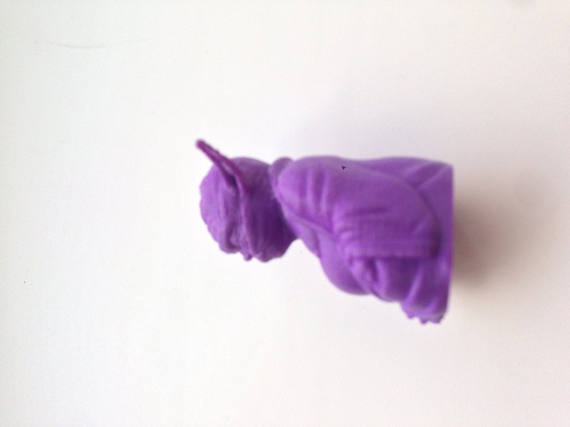 image.jpeg