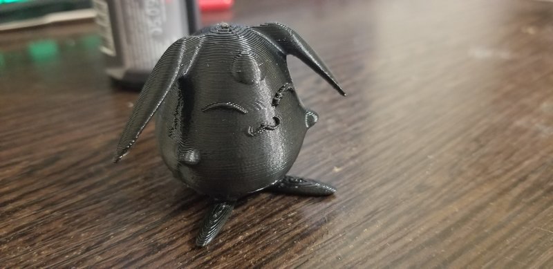 20190316_144950.jpg