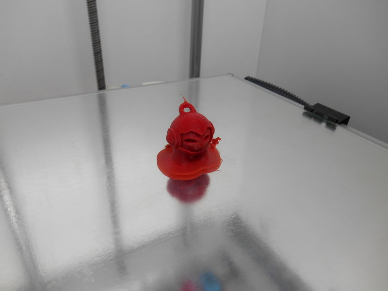 DSCN1259.JPG