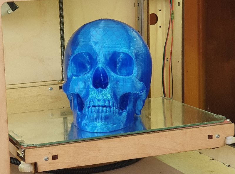 scull.jpg